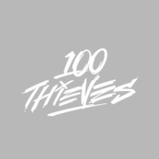 100 THIEVES